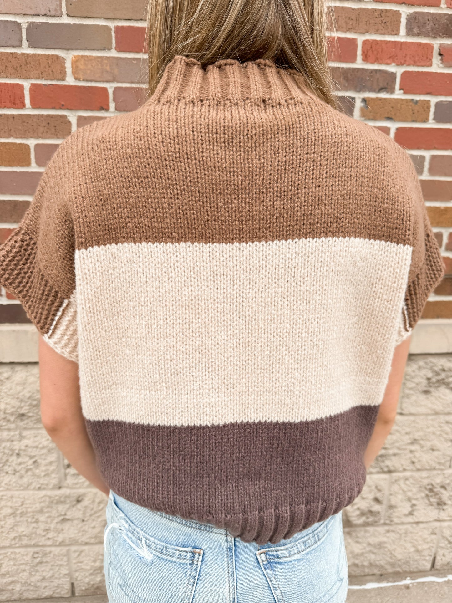Neutral Block Sweater Vest
