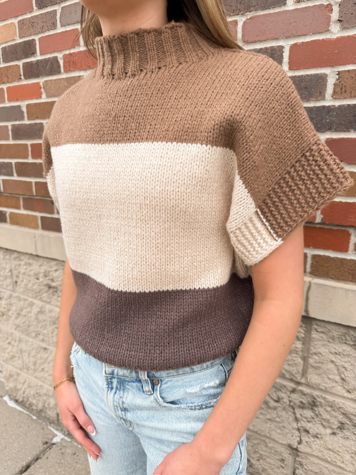 Neutral Block Sweater Vest