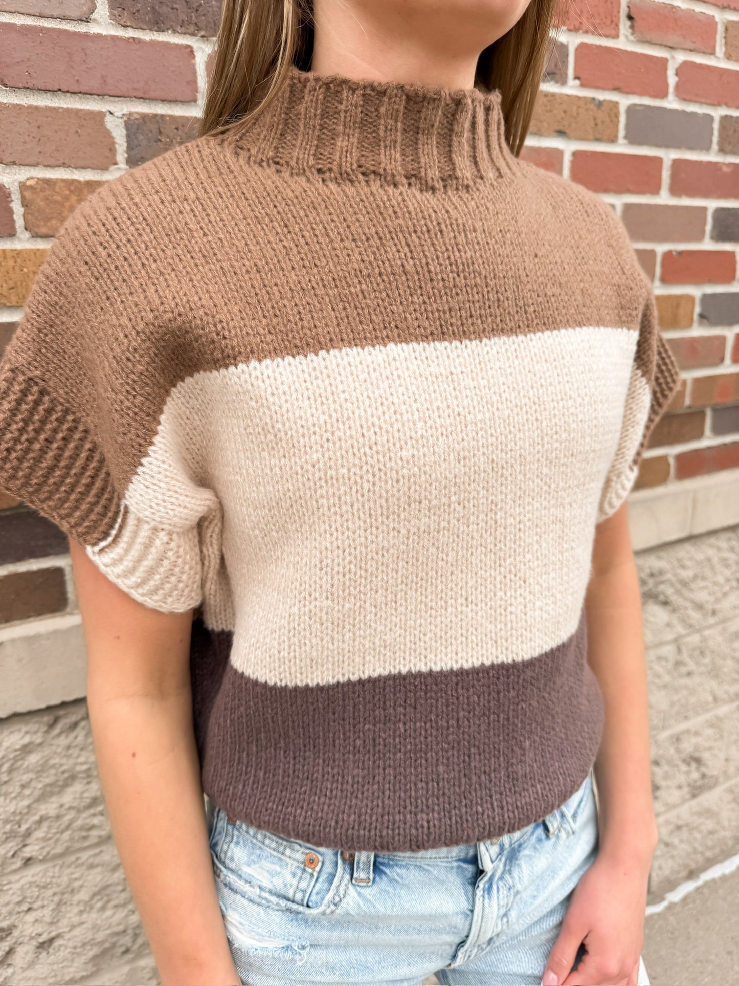 Neutral Block Sweater Vest