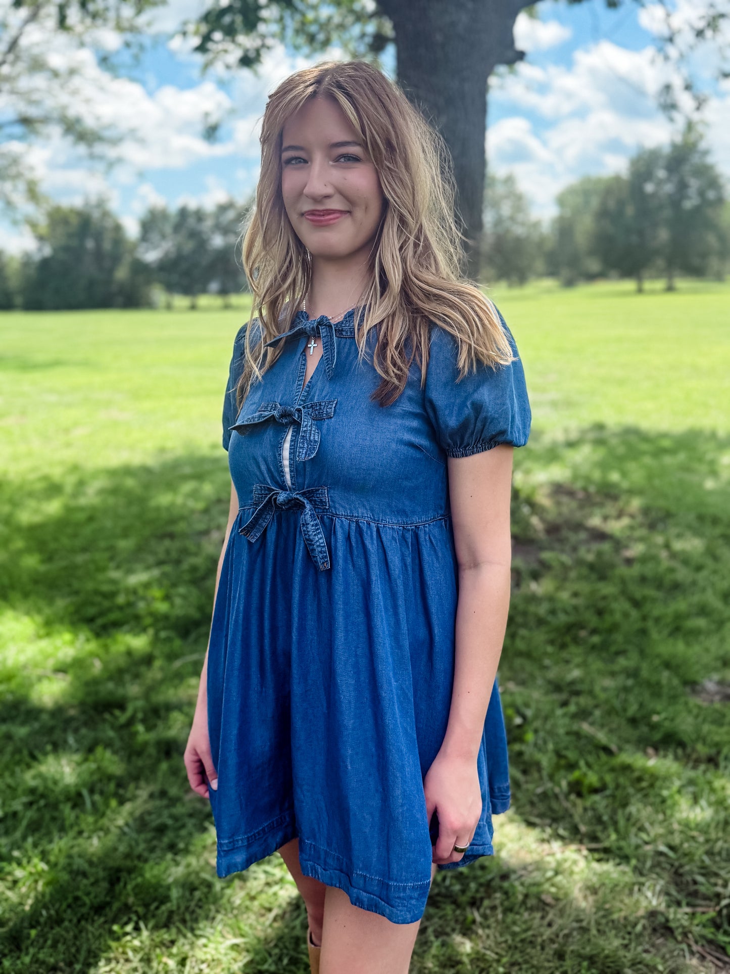 Hometown Honey Denim Dress