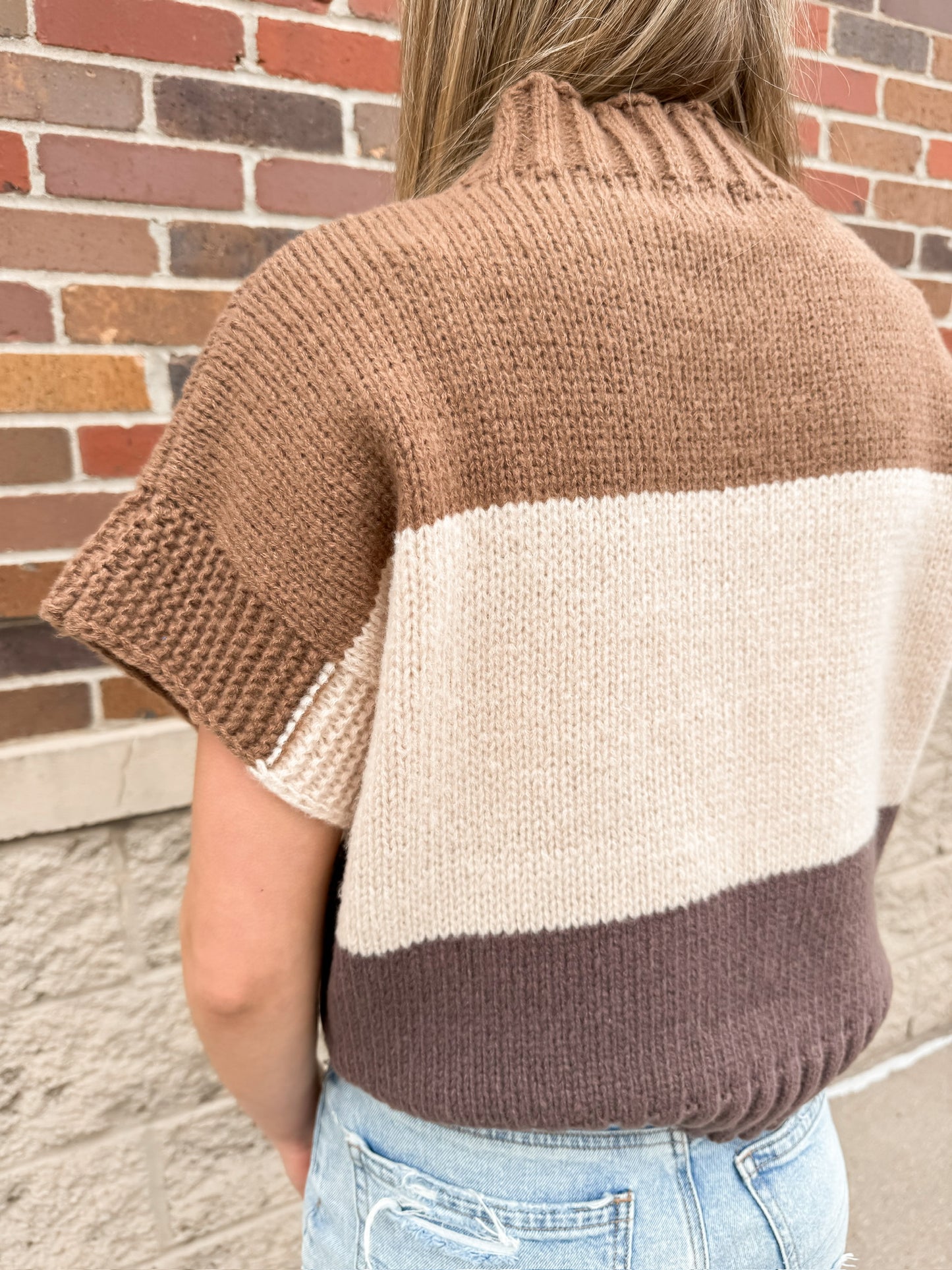 Neutral Block Sweater Vest