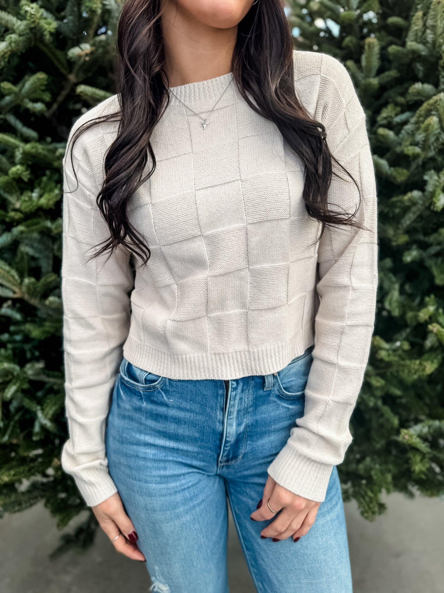 Check It Out Cropped Sweater - Oatmeal