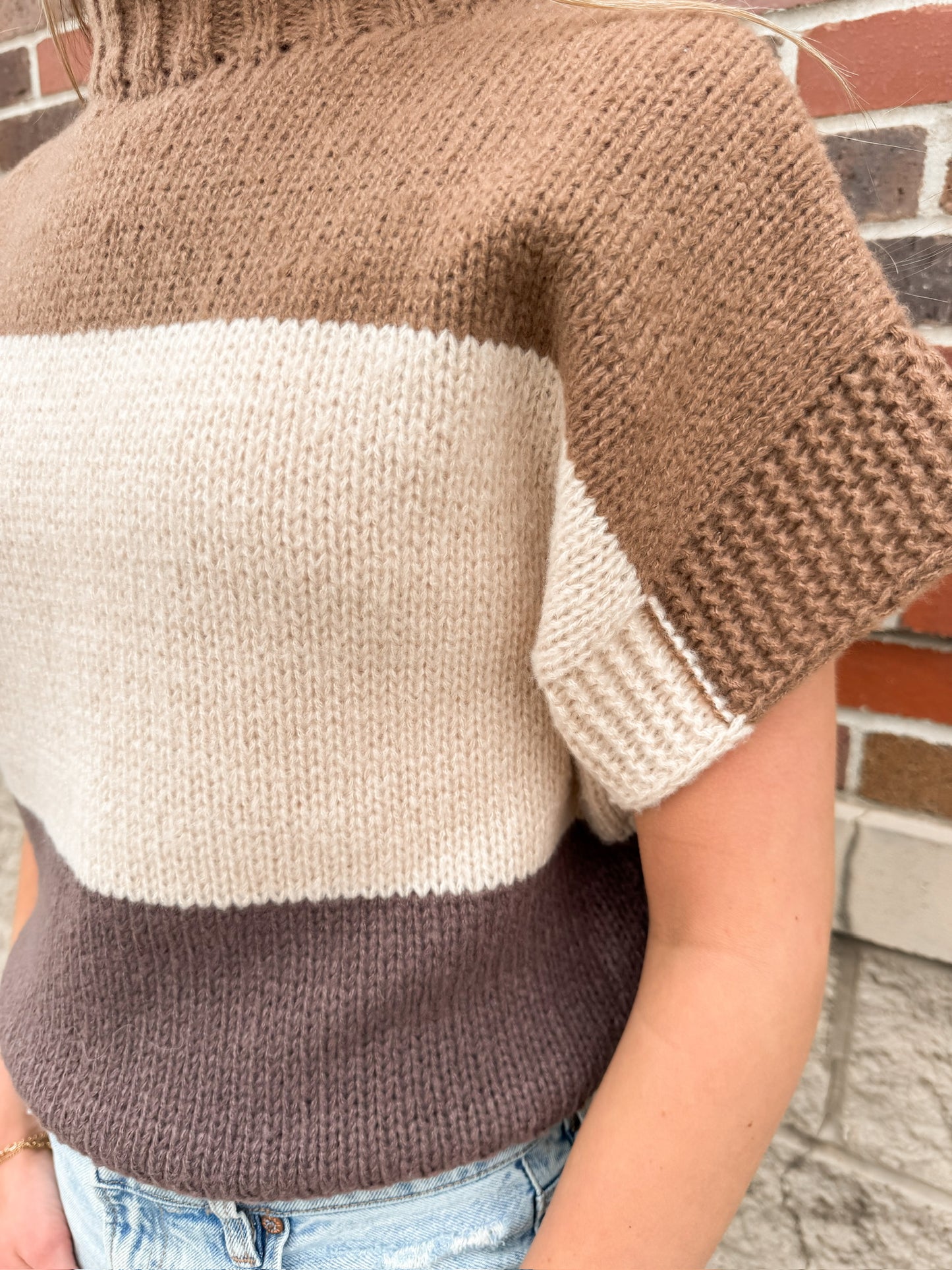 Neutral Block Sweater Vest