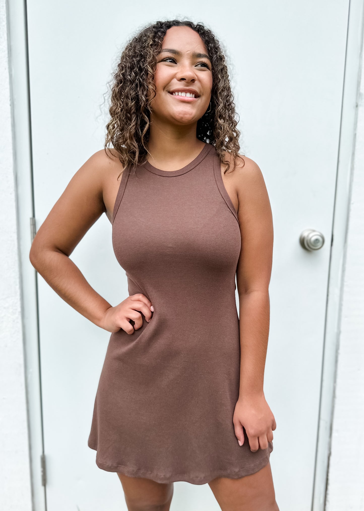 Vera Sleeveless Skater Dress - Chocolate