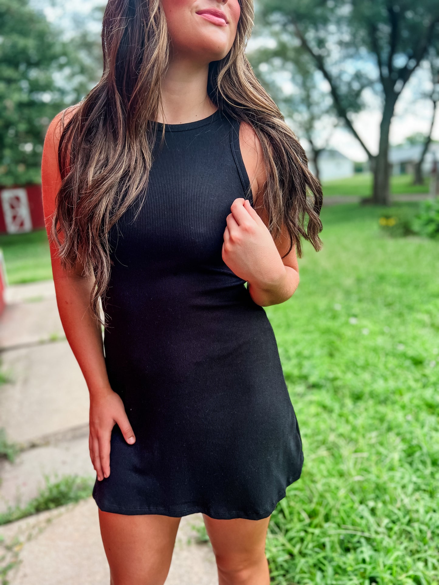 Vera Sleeveless Skater Dress - Black