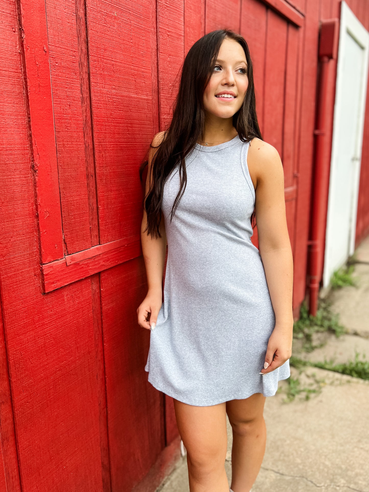 Vera Sleeveless Skater Dress - Heather