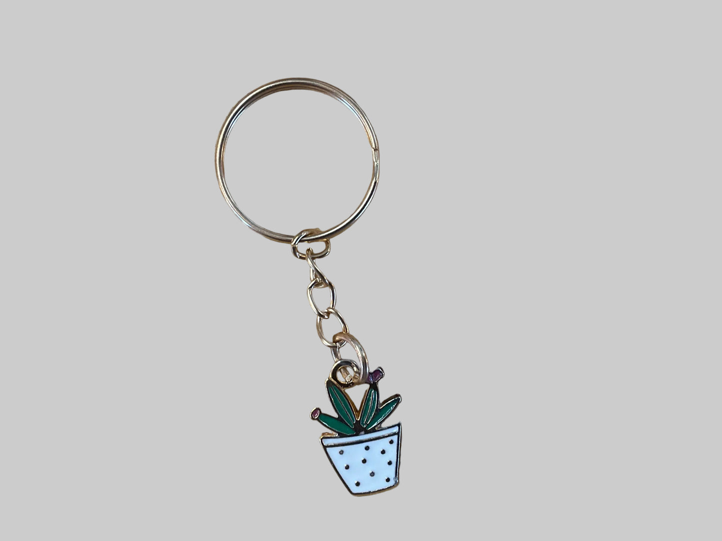 Small Metal Keychain
