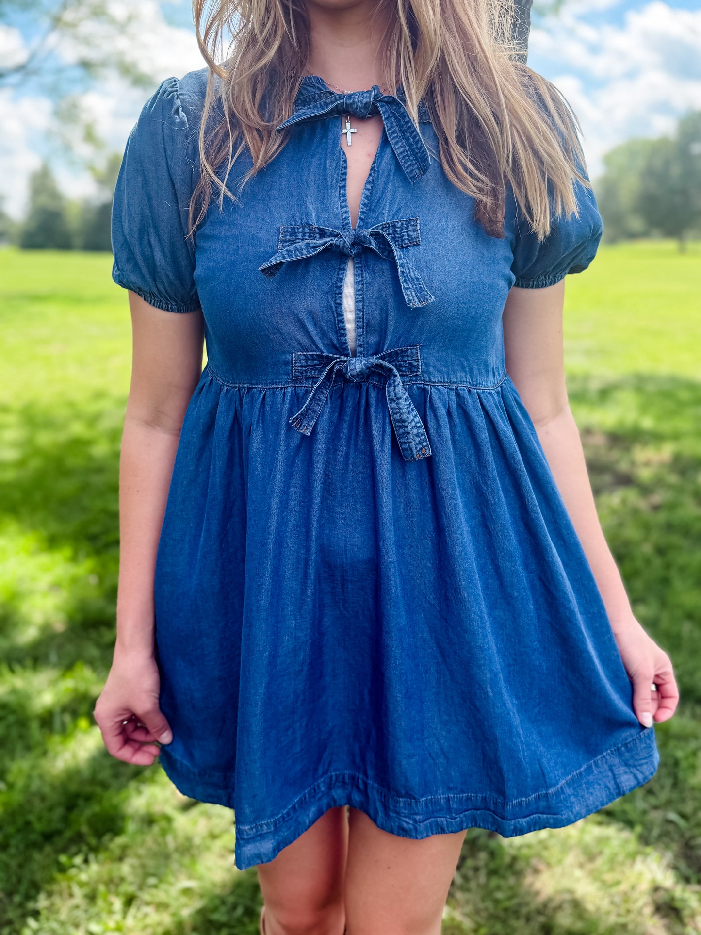 Hometown Honey Denim Dress