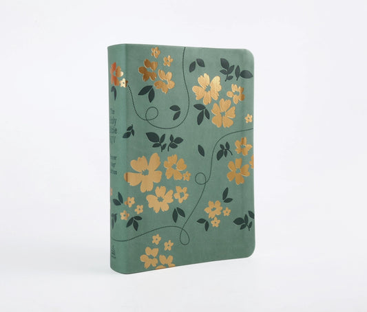 The Holy Bible KJV: Prayer Map Edition