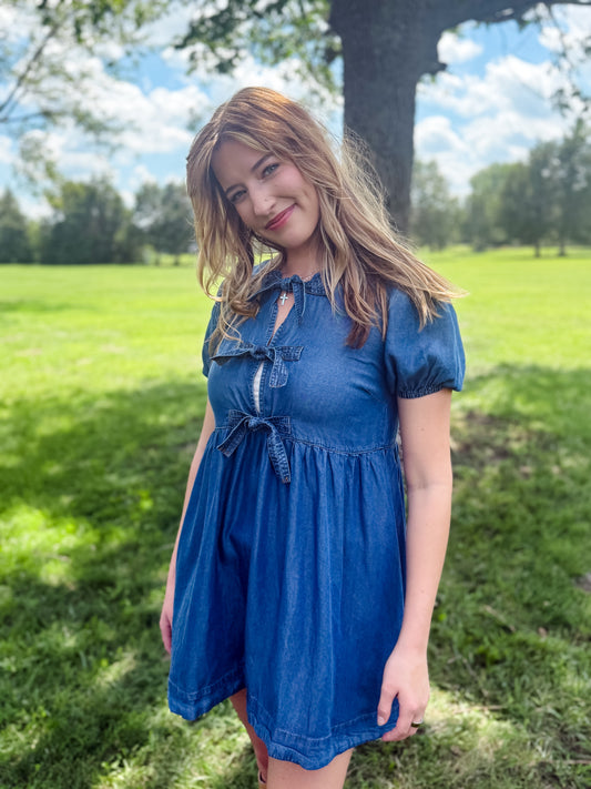 Hometown Honey Denim Dress