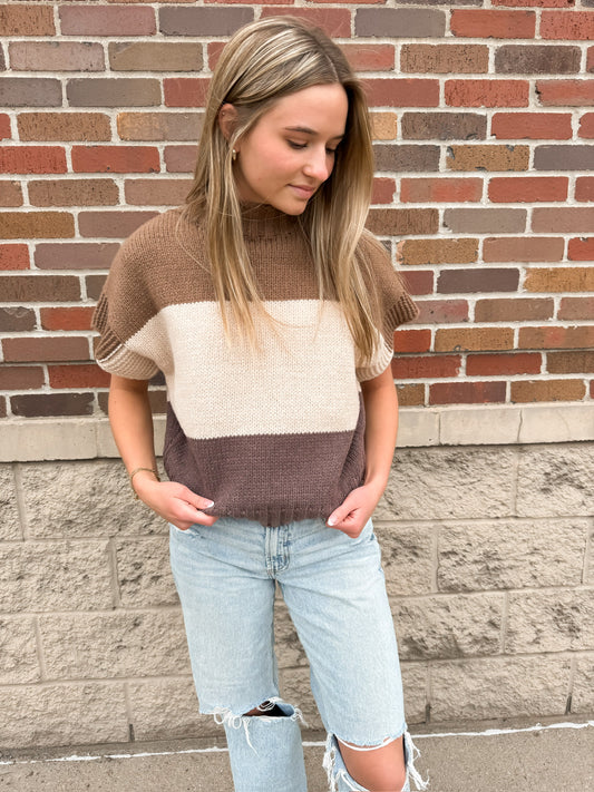 Neutral Block Sweater Vest